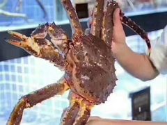 -徐记海鲜·宴会(大唐西市|丰庆店)