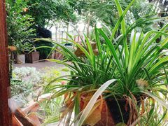 -时光花园(白鹭洲店)