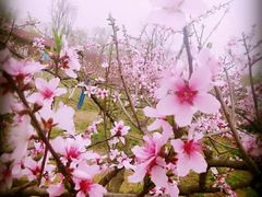 -白鹭湾湿地公园