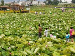 -白沙门生态公园