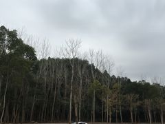 -第三空间·趣味桌游·轰趴.室内CS.剧本杀(大武汉1911店)
