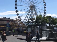-The Crab Pot Seattle