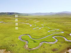 -郭莽湿地