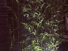 门面-十面春风·江南面馆(崇宁路店)