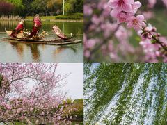 -上海佘山世茂艾美酒店