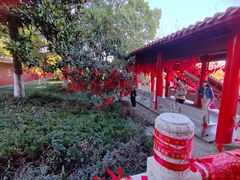 -开福禅寺