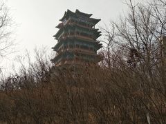 -永定河休闲森林公园