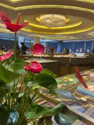 -中国黄金(北京旗舰店)