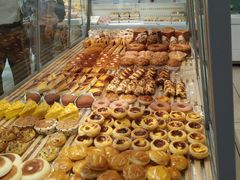 -蒲公英(五里店)