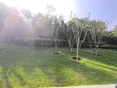 -棒棰岛宾馆景区