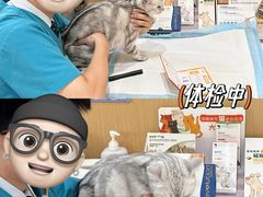 -pd派德宠物中心医院24H急重症·眼科中心·血液透析中心(嵩山北路店)