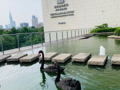 -行者书屋大堂吧 ·下午茶(南京圣和府邸酒店)