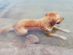 -仙海旅游度假区