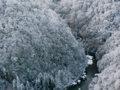 -龙苍沟森林公园