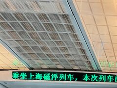 -龙阳路磁悬浮列车总站-停车场