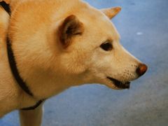 -微焙咖啡工厂(海峡创意产业园·红坊店)