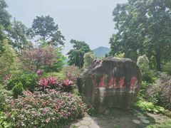 -广州市流溪河国家森林公园