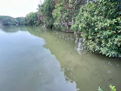 -海珠湖公园