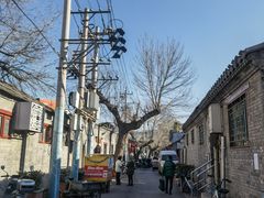 -玫瑰红烤羊排(北新桥三条店)