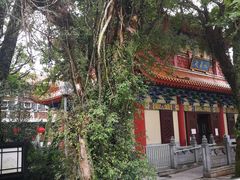 -宝莲禅寺