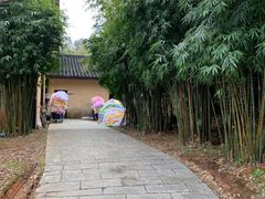 -崇阳三特浪口温泉