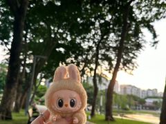 -深圳湾万象城