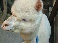 -波塞冬旅游度假区