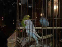 -哈哈曲艺社(西门闲亭店)