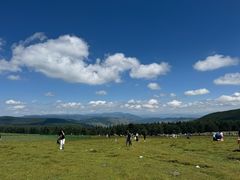 -芦芽山旅游度假区