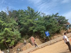 -棒棰岛宾馆景区
