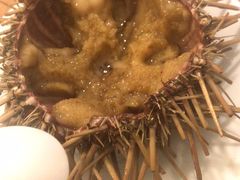 鲜海胆-海胆小馆(东北水饺·春柳店)