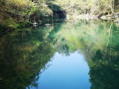 -石台牯牛降景区