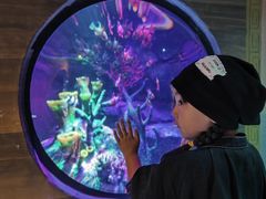 -沈阳海洋探索中心