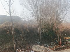 -句容茅山景区