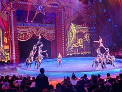 -珠海横琴长隆《卡卡虎奇遇记》