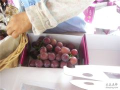 -马陆小张葡萄园农家乐