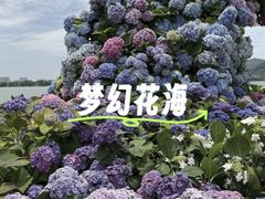 -无锡蠡湖国家湿地公园-蠡园