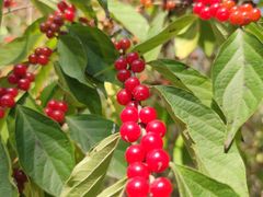 -永定河休闲森林公园