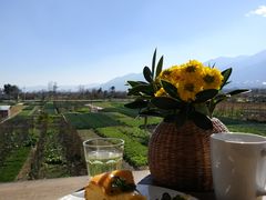 -翠田Green Field Kitchen