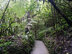 -怀托摩萤火虫洞