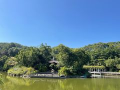 -广州市帽峰山景区