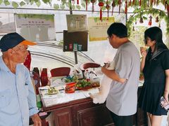 -马陆小张葡萄园农家乐