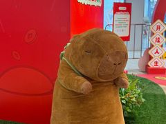 -远洋未来汇