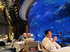 -迪拜帆船酒店海底餐厅