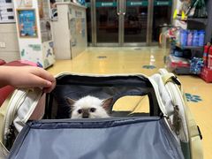 -瑞派天宁宠物医院·猫科·异宠中心