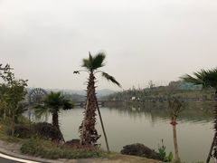 -枫香湖儿童公园