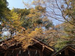-野宫神社