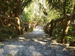 -海南热带雨林国家公园吊罗山景区