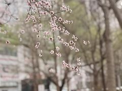 -保利剧院(保利大厦店)