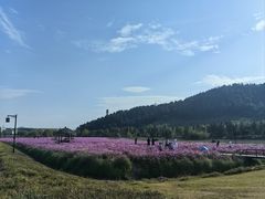 -径山花海